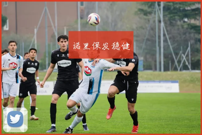 诺里保发稳健