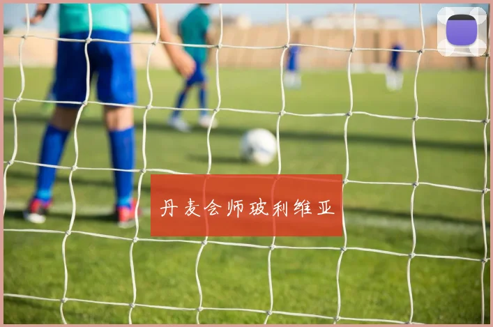 丹麦会师玻利维亚