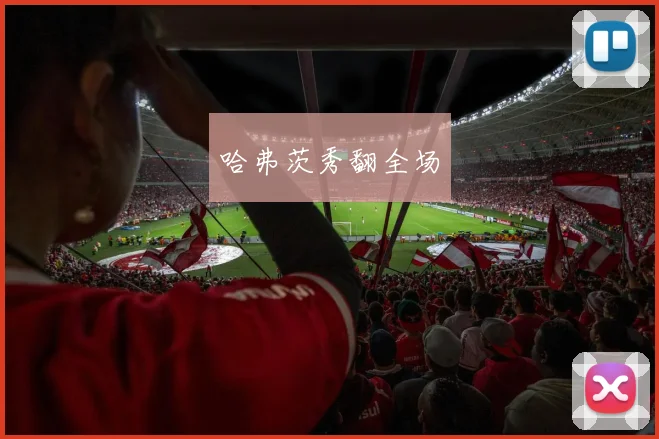 哈弗茨秀翻全场