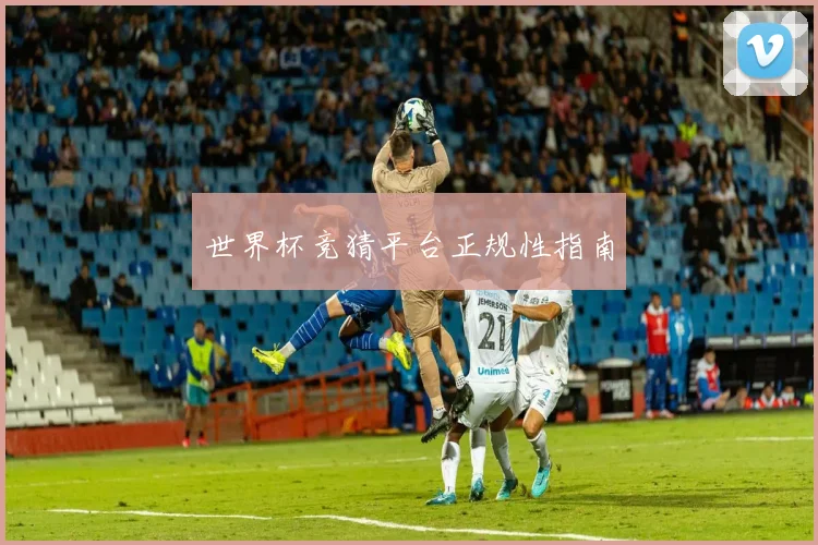 世界杯竞猜平台正规性指南