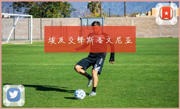 埃及交锋斯洛文尼亚