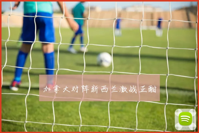 加拿大对阵新西兰激战正酣