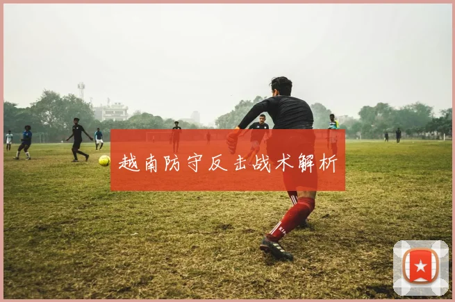 越南防守反击战术解析